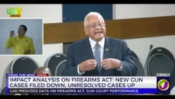 Impact Analysis On Firearms Act: New Gun Cases Filed Down, Unresolved Cases Up    | TVJ News