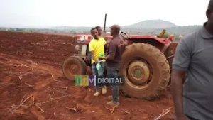 TOSCI KANDA  YA  KASKAZINI YAENDELEA  KUKAGUA UBORA  WA MBEGU  HADI  MASHAMBANI