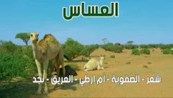 العساس | شعر - الصفوية - أم أرطى - العريق - نجد ( 13-3-1440هـ )