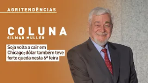 Soja volta a cair em Chicago; dólar também teve forte queda nesta 6ª feira