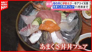 Fresh Seafood, Wagyu, Eel Bowls & Spiny Lobster! "Eat Well and Stay Energetic": Amakusa Gourmet Fair