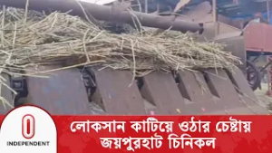 আখের ভালো দাম পেলেও চাষীরা, লোকসানের শঙ্কায় চিনি ব্যবসায়িরা | Independent TV
