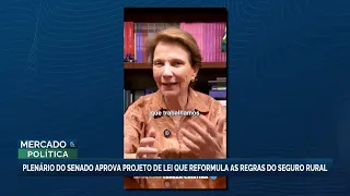 OPINION | Senator Tereza Cristina demands agility in rural debt renegotiations