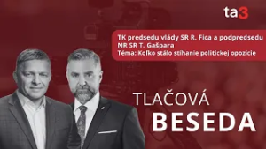TK  SR R. Fica a T. Gašpara Téma: Koľko stálo stíhanie politickej opozície