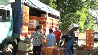 Elektrodistribucija Pale donirala 6000 koka nosilja stanovnicima ove lokalne zajednice – 15.8.2026.