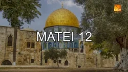 Bible Reading: Matthew 12