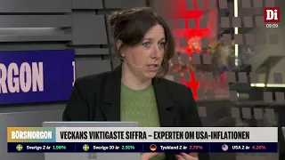 Låg inflation i Sverige: "Finns ingen stress för Riksbanken att agera"