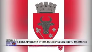 01  A FOST APROBATĂ STEMA MUNICIPIULUI SIGHETU MARMAȚIEI