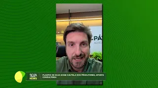 'Planting has begun in Brazil but is still concentrated in Paraná,' says consultancy