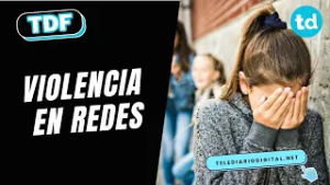? Bullying y Ciberbullying en escuelas: qué revela la investigación del conicet