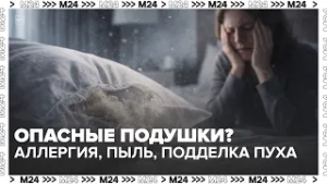 Опасные подушки? Роскачество выявило нарушения у 17 брендов | Аллергия, пыль, подделка пуха