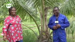AYEKOO TOUR VISITS PRAISE CITY ECO PARK FARMS IN ADAKLU DISTRICT