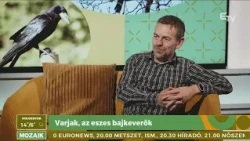 Varjak, az eszes bajkeverők – Mozaik