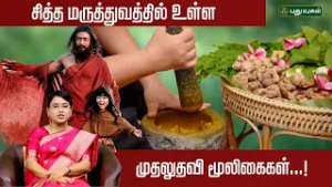 சித்த மருத்துவத்தில் உள்ள முதலுதவி மூலிகைகள்! ???✨ | Dr.MS.Usha Nandhini | #puthuyugamtv