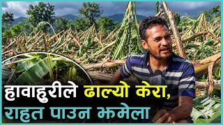 दाङमा हावाहुरीले सखाप पार्‍यो केरा बगान | Kantipur Samachar