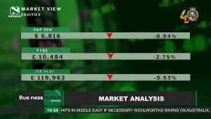 Nedbank Business watch || Market Analysis