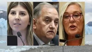 El nuevo régimen penal juvenil: Terenzi y Cristina votaron a favor, Linares en contra