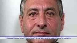 Trials in Sciacca and Palermo for the Ribera, Lucca, and Canicattì gangs