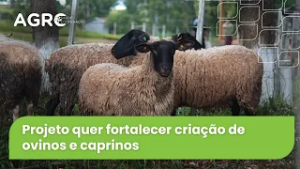 Agro Saúde e Cooperação - Ovinocaprinocultura