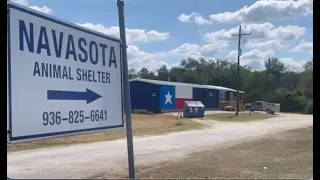Navasota Animal Shelter reopens with new building, expanded capacity and no-kill designation