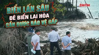 Rising seas threaten Lai Hoa sea dike; urgent protection needed | CT-TDT