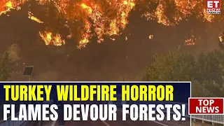 Turkey Wildfire Horror: Flames Tear Through Forests As Firefighters Race To Contain Blaze | ET Now