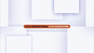 A Career, A Collection T3 | Lourdes Almeida