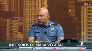 Incendios de masa vegetal, entre las emergencias más atendidas durante carnavales