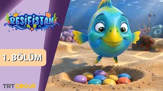 Resifistan | 1.Bölüm