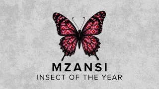 Mzansi Insect of the Year | News24
