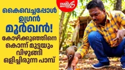 കോഴിക്കൂട്ടിൽ മൂർഖന്റെ  മരണപ്പാച്ചിൽ | Cobra Rescue By Vava | Snakemaster EP 1229