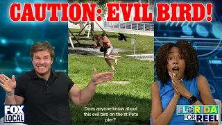 She locked her BF outside for THIS?! 🚽+ ‘Evil Bird’ terrorizes St. Pete Pier! | Florida For Reel