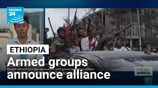 Ethiopian armed groups announce anti-government alliance • FRANCE 24 English