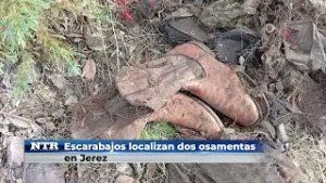 Escarabajos localizan dos osamentas en Jerez