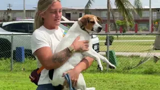 My Pet Story: Erica & Tommy introduce you to Sage and Onyx