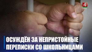 Непристойные переписки со школьницами вёл житель Мозырского района