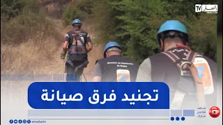Bejaia / Sonelgaz mobilizes 35 maintenance crews to repair power grids damaged by wildfires