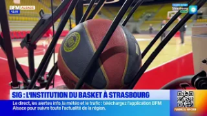 Découvrez les coulisses de la SIG Strasbourg avec Célia Sommer et Adrien Petiteau