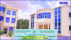 GOLAHA WAKIILADA JSL OO WAXBA KAMA JIRAAN KU TILMAAMAY BAYAAN KASOO BAXAY GUDI KA TIRSAN GOLAHAASI.