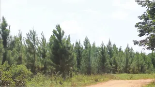 Masaka Land Row: Residents Call for Government Intervention