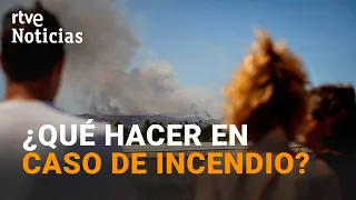 ALMERÍA WILDFIRE | QUICK GUIDE ON HOW TO SURVIVE A FOREST FIRE | RTVE News
