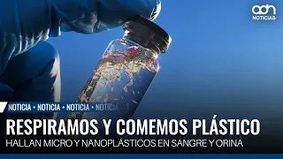 IPN study raises alarms: microplastics detected in blood and urine of Mexicans