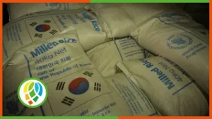 Amor traducido en solidaridad