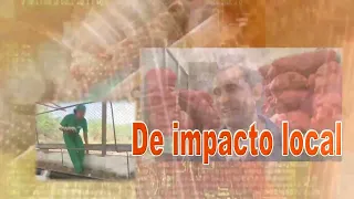 News Roundup: Local Impact Stories