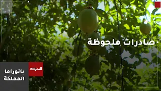 Significant Increase in Jordanian Agricultural Exports