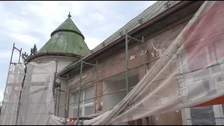 Museli odstrániť osie hniezda