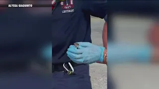 Tiny killdeer chick rescued from storm drain, runs straight to mother