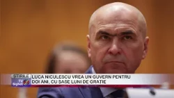 08 LUCA NICULESCU WANTS A TWO-YEAR GOVERNMENT WITH A SIX-MONTH GRACE PERIOD