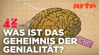 Wie wird man ein Genie? | 42 - Die Antwort auf fast alles | ARTE
