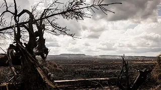 Severe weather sweeps across Europe: IPMA places Portugal under yellow alert